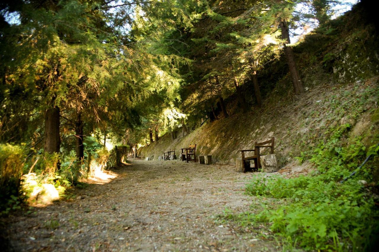 Quinta De Barbedo Villa Canicada Bagian luar foto