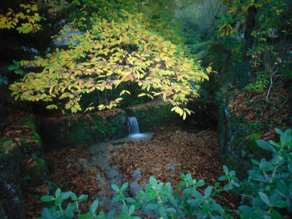 Quinta De Barbedo Villa Canicada Bagian luar foto